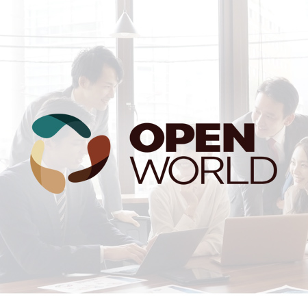 What services does OPEN WORLD 株式会社 offer?
